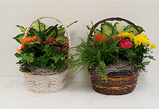 flowers in baskets